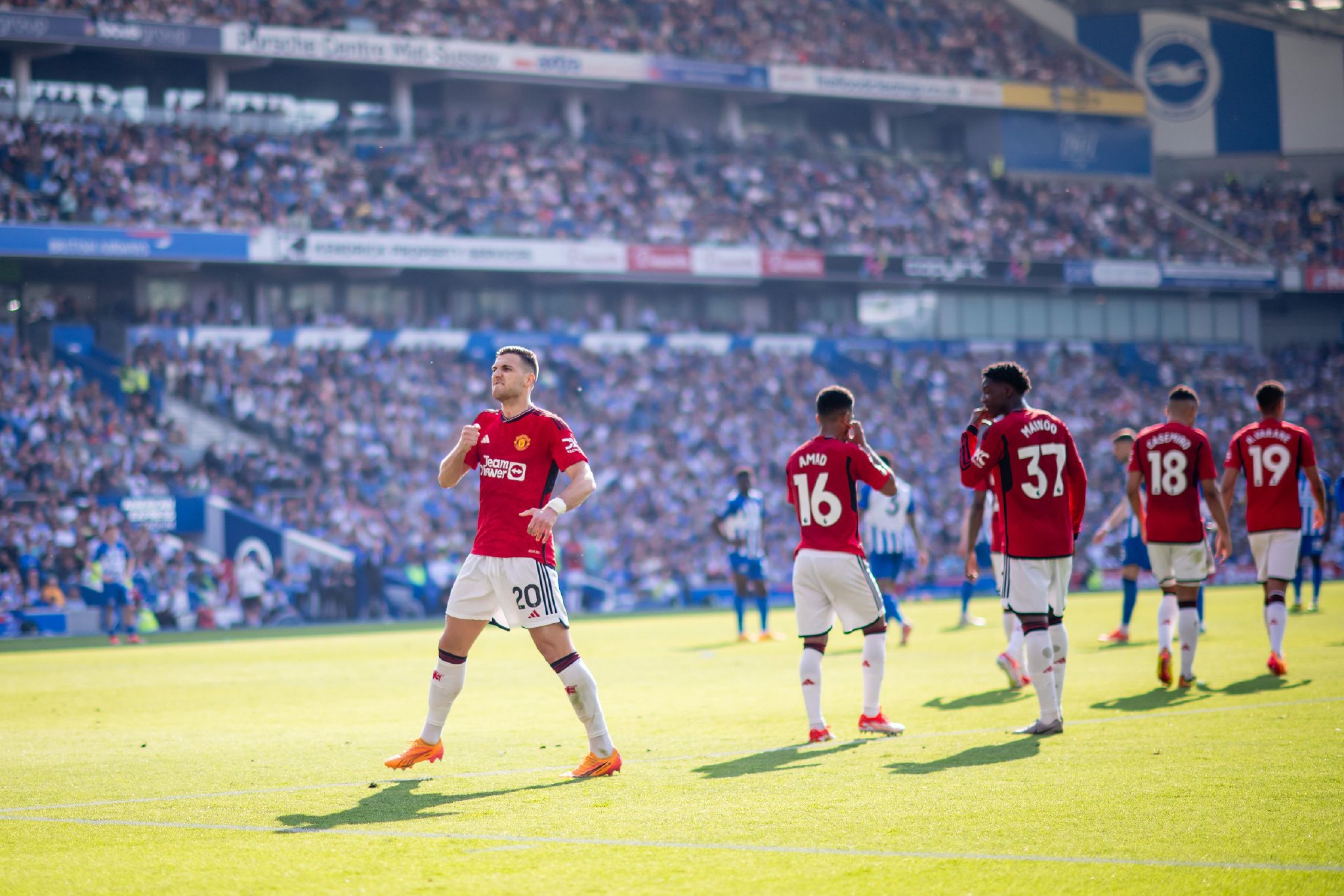 种巨大的心 种巨大的心